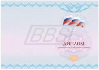 Бланк диплома о профессиональной переподготовке с присвоением квалификации, Вид 3 (арт. 31041)