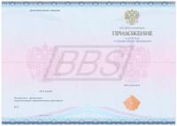 Бланк приложения к аттестату о среднем общем образовании / аттестату о среднем общем образовании с отличием (арт. 11005)