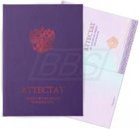 Бланк аттестата об основном общем образовании, с твёрдой обложкой (арт. 12003)