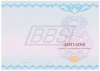 Бланк диплома о профессиональной переподготовке "Универсальный, вид 4" (пустой, без флага РФ) (арт. 31038)