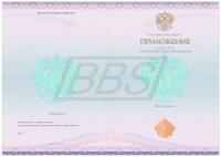 Бланк приложения к аттестату об основном общем образовании / аттестату об основном общем образовании с отличием (арт. 12005)