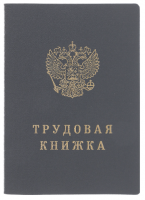 Бланк документа «Трудовая книжка» (арт. 90001)