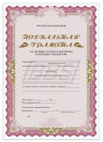 Похвальная грамота "За особые успехи в изучении отдельных предметов" (Вид 2) (51028)