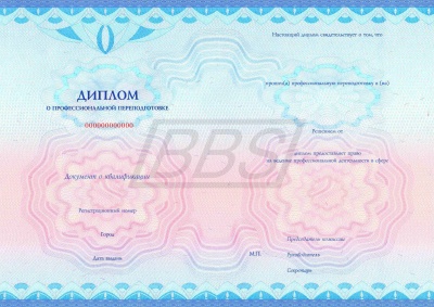 Бланк диплома о профессиональной переподготовке "На право ведения нового вида профессиональной деятельности", с твёрдой бордовой обложкой (арт. 31006)