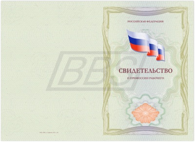 Бланк свидетельства о профессии рабочего (арт. 42005)