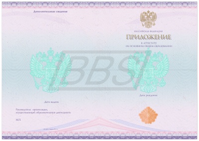 Бланк приложения к аттестату об основном общем образовании / аттестату об основном общем образовании с отличием (арт. 12005)