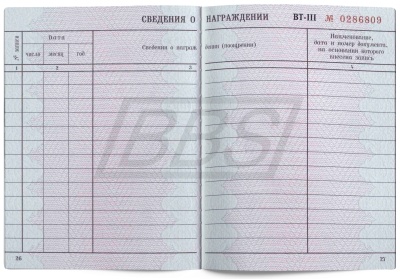 Бланк-вкладыш к трудовой книжке (арт. 90002)