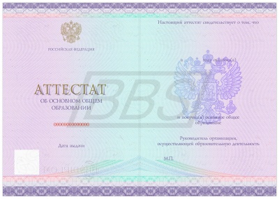 Бланк аттестата об основном общем образовании, без обложки (арт. 12001)