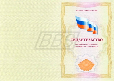 Бланк свидетельства о профессии рабочего, должности служащего, с твёрдой обложкой (арт. 42002)