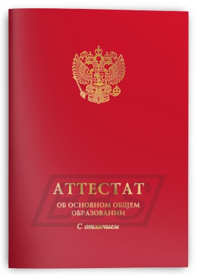 Папка для документов к основному общему образованию с отличием  (арт. 12012)