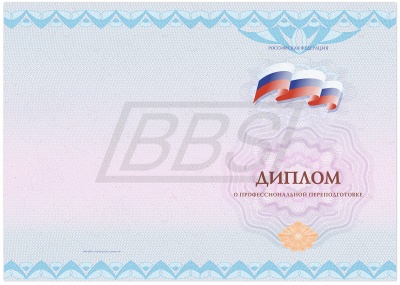 Бланк диплома о профессиональной переподготовке с присвоением квалификации, Вид 3 (арт. 31041)