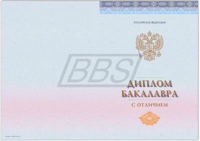 Бланк диплома бакалавра с отличием, без обложки (арт. 71002)