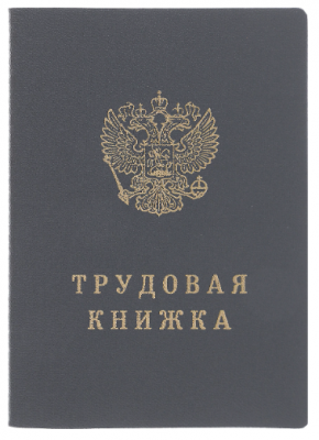 Бланк документа «Трудовая книжка» (арт. 90001)