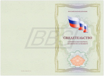Бланк свидетельства о профессии рабочего, должности служащего (арт. 42001)
