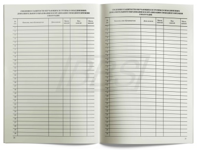Журнал группы продленного дня, 40 стр. (арт. 15007)