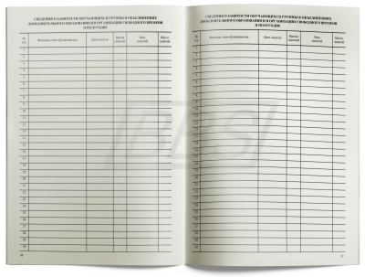 Журнал группы продленного дня, 40 стр. (арт. 15007)