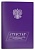 Папка для документов к основному общему образованию  (арт. 12011)