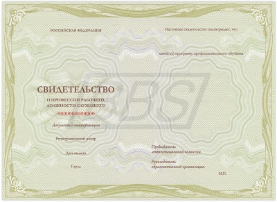 Бланк свидетельства о профессии рабочего, должности служащего (арт. 42001)
