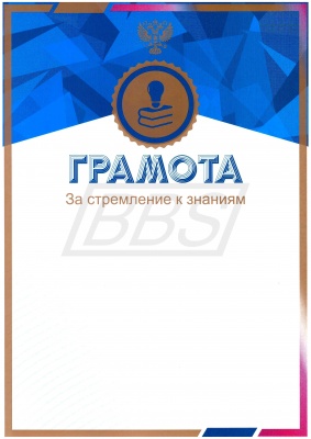 Грамота "За стремление к знаниям" (арт. 51010)