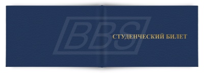 Студенческий билет (среднее профессиональное образование) (арт. 22002)