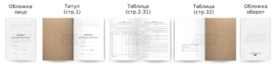 Журнал учета индивидуальных консультаций, 32 стр. (арт. 22010)