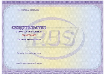 Бланк свидетельства о профессии водителя (арт. 41001)