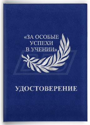 Удостоверение к серебряной медали «За особые успехи в учении» II степени (на твердой обложке, номерное, большое) (арт. 61022)
