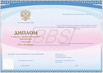 Бланк диплома о среднем профессиональном образовании, с твёрдой обложкой (с отличием) (арт. 21004)