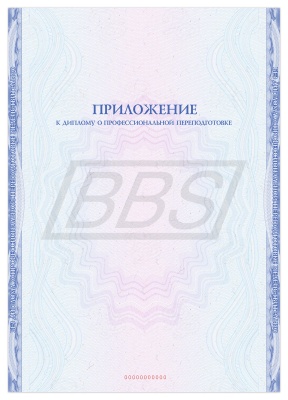 Приложение к диплому о профессиональной переподготовке А4 "Вид 2" (без таблицы) (арт. 31033)