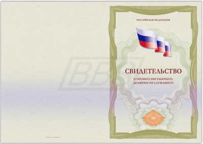 Бланк свидетельства о профессии рабочего, должности служащего, без обложки (290*205 мм) (арт. 42022)