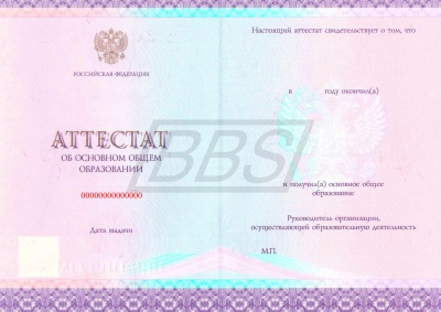 Бланк аттестата об основном общем образовании, с твёрдой обложкой (арт. 12003)