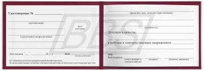 Удостоверение о проверке знаний норм и правил работы в электроустановках (арт. 90014) 