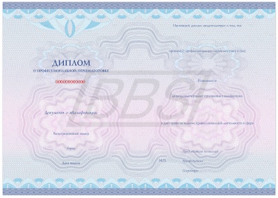 Бланк диплома о профессиональной переподготовке с присвоением квалификации, Вид 3 (арт. 31041)