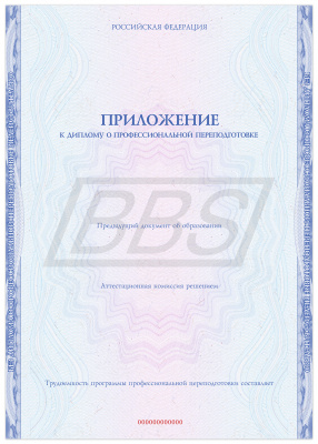 Приложение к диплому о профессиональной переподготовке, формат А4 (арт. 31008)