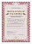 Похвальная грамота "За особые успехи в изучении отдельных предметов" (Вид 2) (51028)