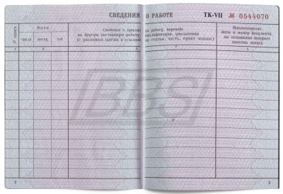 Бланк документа «Трудовая книжка» (арт. 90001)