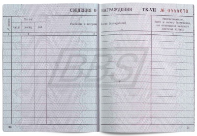 Бланк документа «Трудовая книжка» (арт. 90001)
