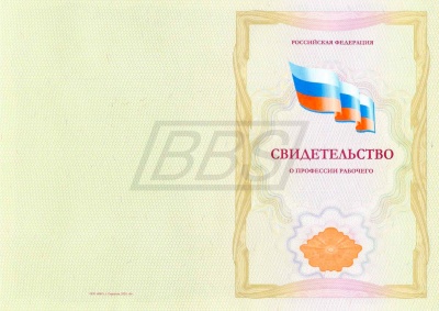 Бланк свидетельства о профессии рабочего, с твёрдой обложкой (с отличием) (арт. 42008)