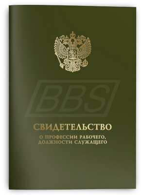 Папка для документов (свидетельство, приложение, обложка) для свидетельства о профессии рабочего должности служащего (арт. 42031)