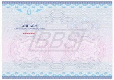 Бланк диплома о профессиональной переподготовке "Универсальный, Вид 3" (пустой), без обложки (арт. 31030)