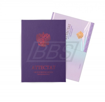 Бланк аттестата об основном общем образовании, с твёрдой обложкой (арт. 12003)