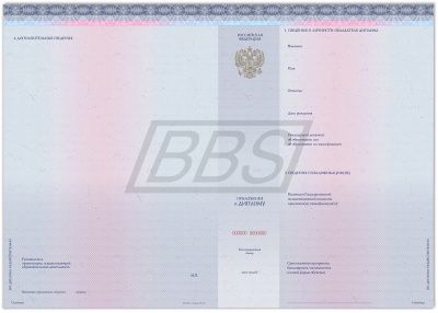 Бланк приложения к диплому бакалавра/диплому бакалавра с отличием, диплому специалиста/диплому специалиста с отличием (арт. 71003)
